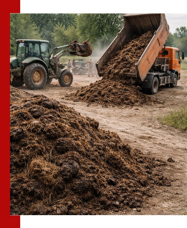 Доставка навоза самосвалами в Лениногорске для сельхозпотребностей